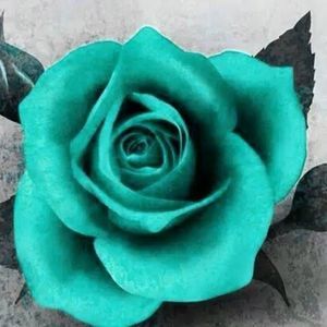 Meet your Posher, Christian